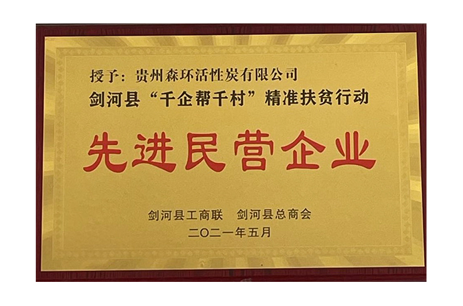 先進民營企業